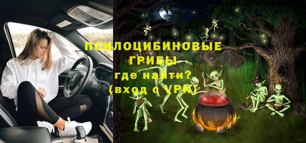 круглые Алзамай