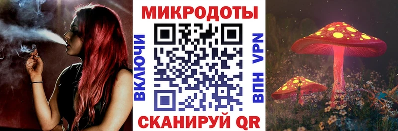 Галлюциногенные грибы Psilocybe  Николаевск-на-Амуре 